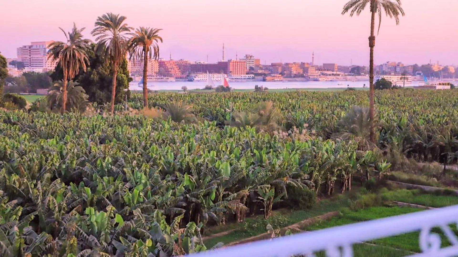 Luxor Dream - Panoramic Villa Αίγυπτος