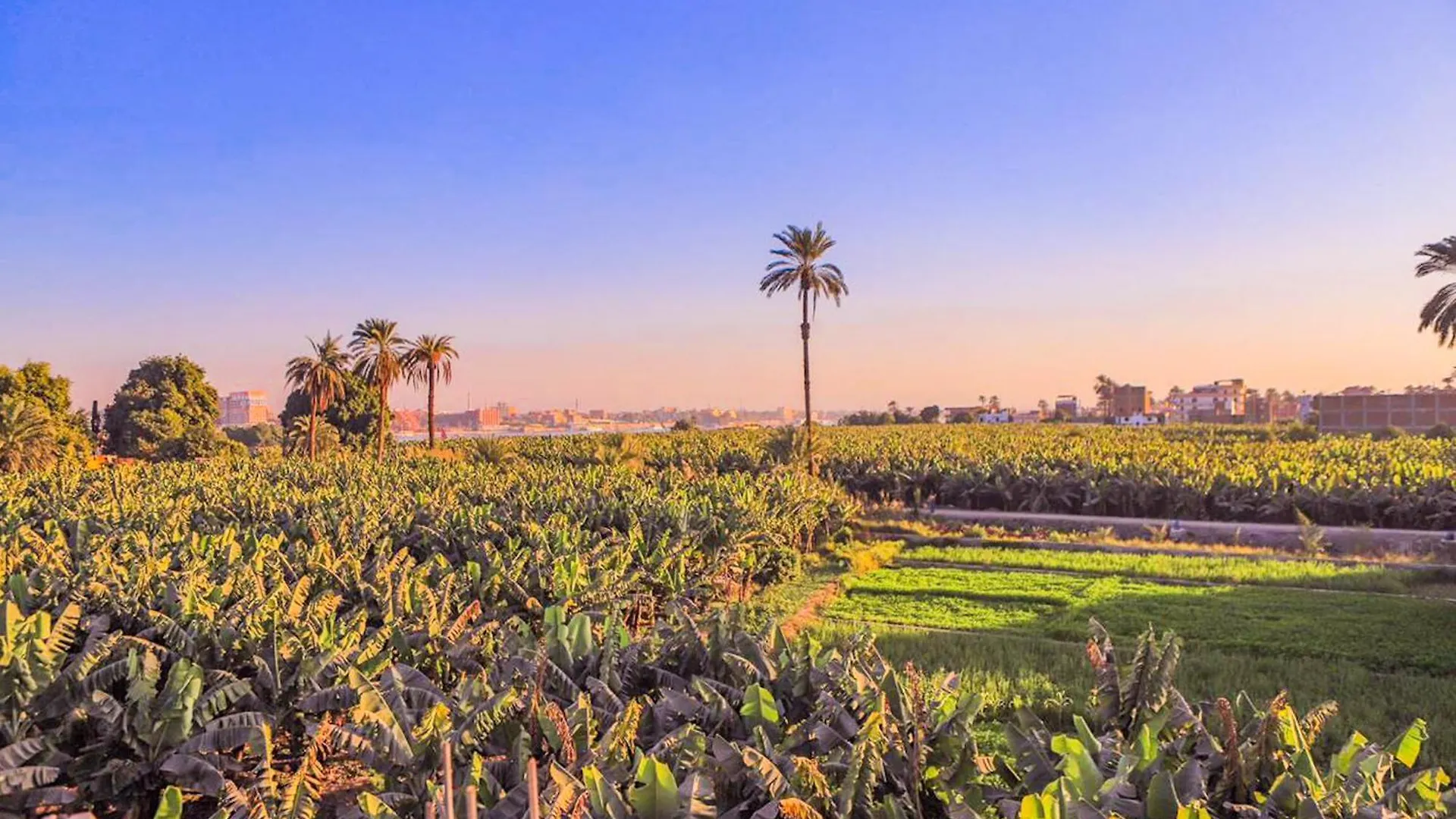 Luxor Dream - Panoramic Villa 0*,  Αίγυπτος